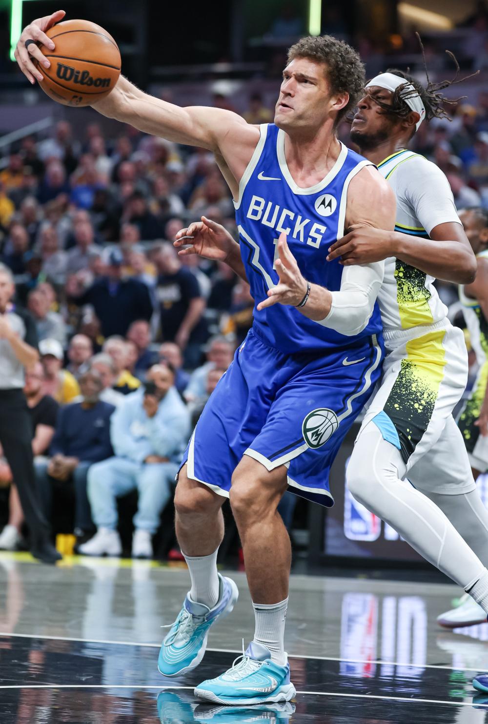 羽毛球的精 羽毛球的精