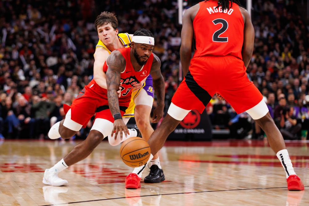 包括专业的 包括专业的